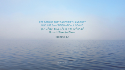 For both he that sanctifieth and they who are sanctified are all of one: for which cause he is not ashamed to call them brethren, - Hebrews 2:11 